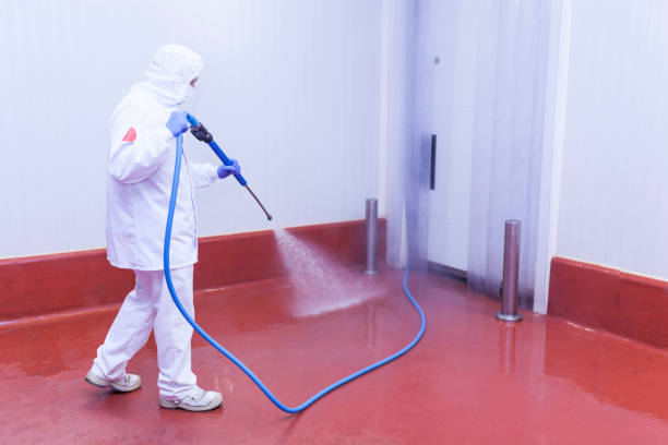 Trusted Grapeland, TX Pressure Washing Experts